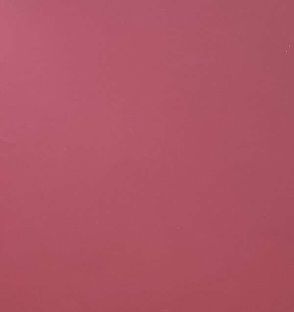 FEELING PATH Bordo 120 Gr A4 100 Adet 807120